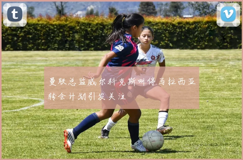 曼联总监威尔科克斯叫停马拉西亚转会计划引发关注