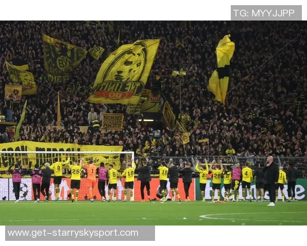 2025年欧洲足球俱乐部场均上座数排行榜揭晓多特蒙德名列第一